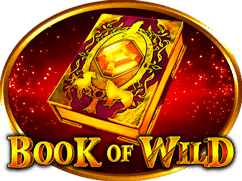 Book of Wild    1spin4win